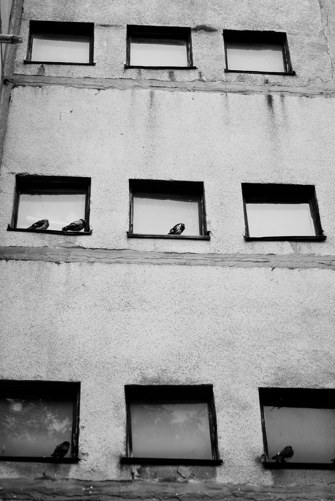 Photograph by Анна Людера