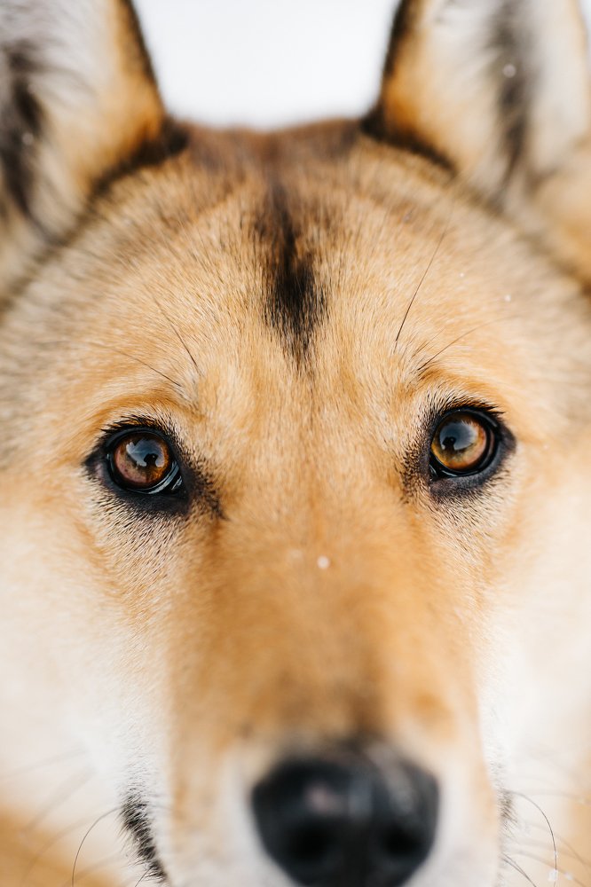 Photograph by Елена Горохова