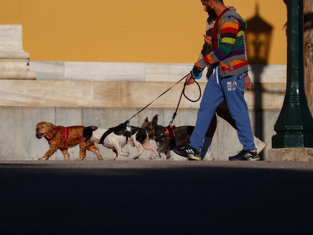 Photograph by Георгий Акопджанов