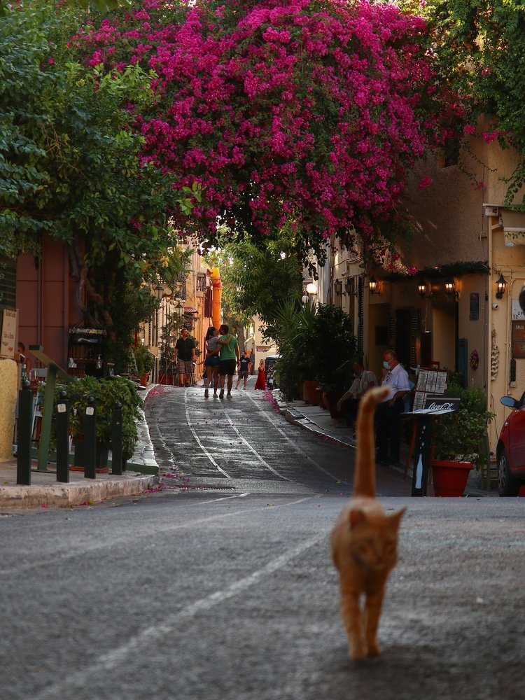 Photograph by Георгий Акопджанов