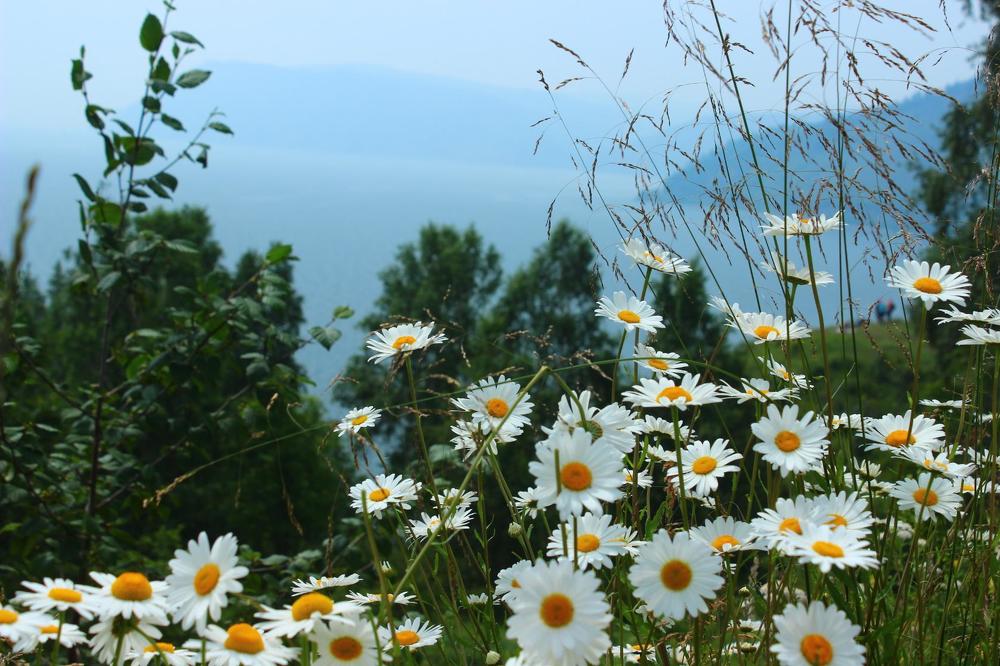 Photograph by Анжелика Иванова