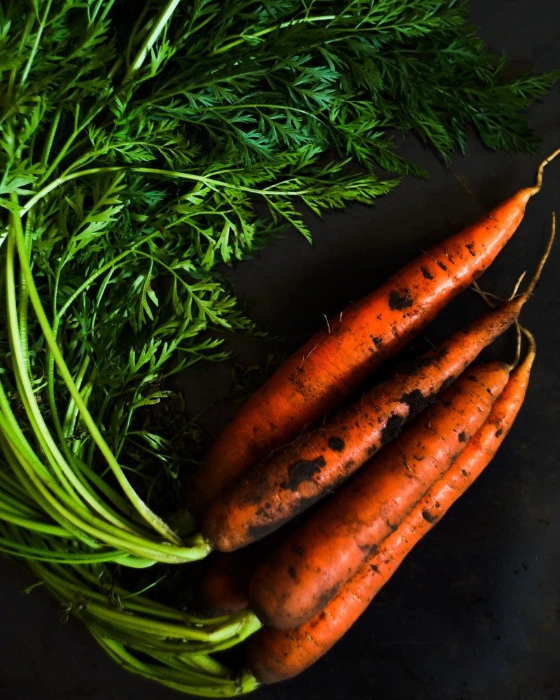 Photograph by Анна Журавлева