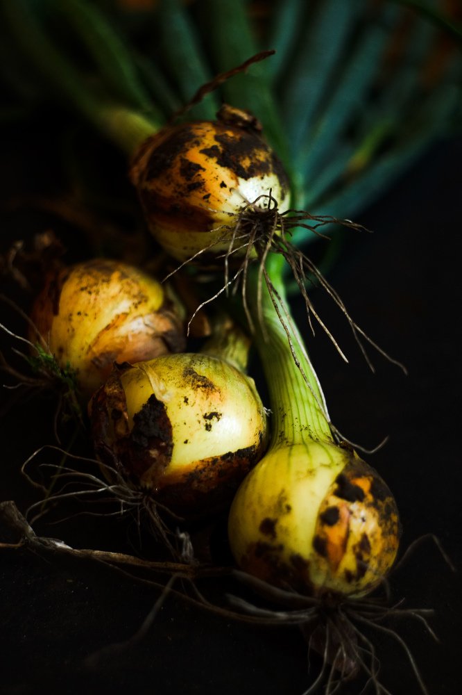 Photograph by Анна Журавлева