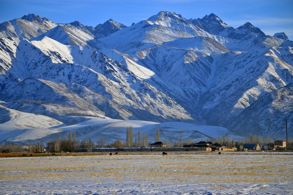 Photograph by Kanybek Omurbekov