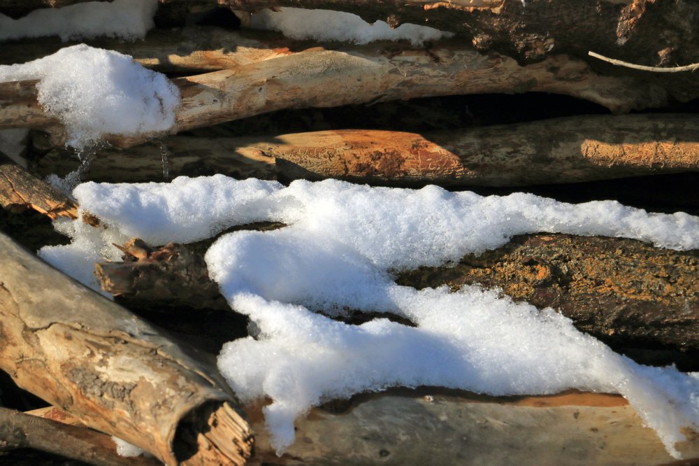 Photograph by Kanybek Omurbekov