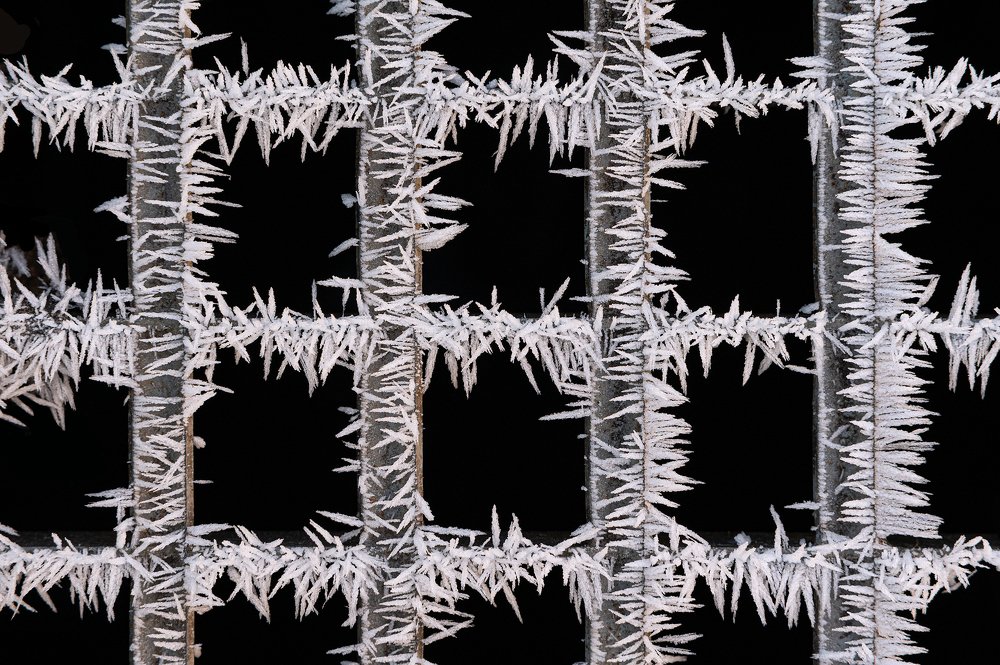 Winter lockdown 2021. Magic of nature...