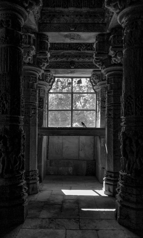 Photograph by Harshil Panchal