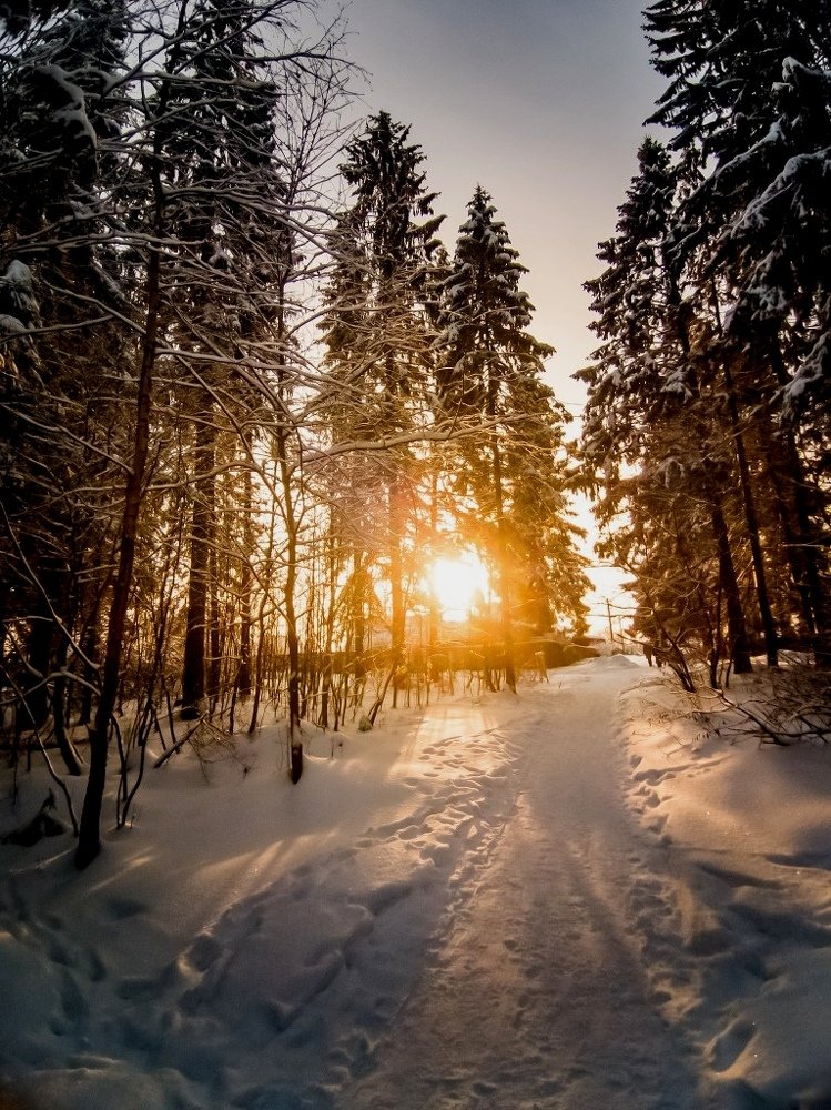 Photograph by Елена Малкова