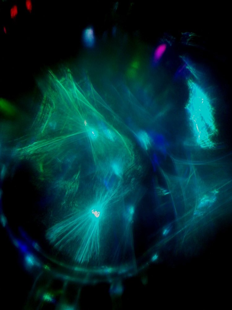 Photograph by Ольга Мокрова