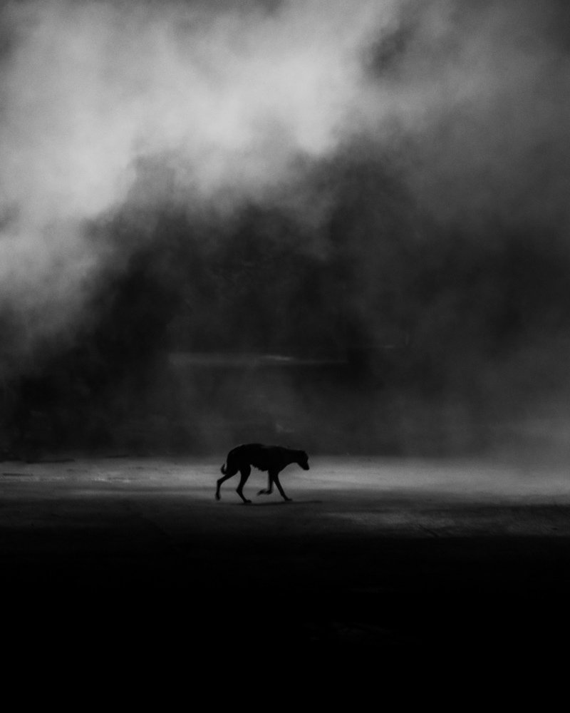 Photograph by Pankaj Chautala