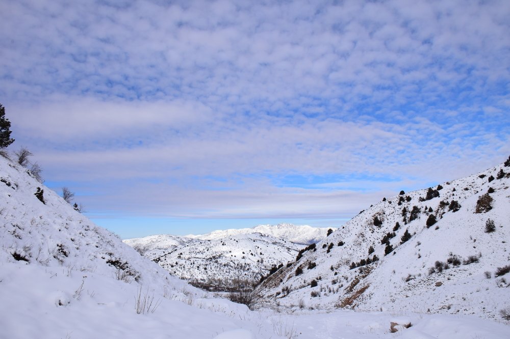 Photograph by Марина Белькова