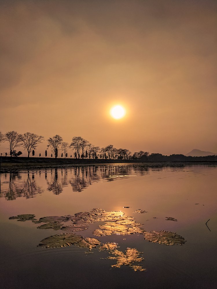 Winter sunset