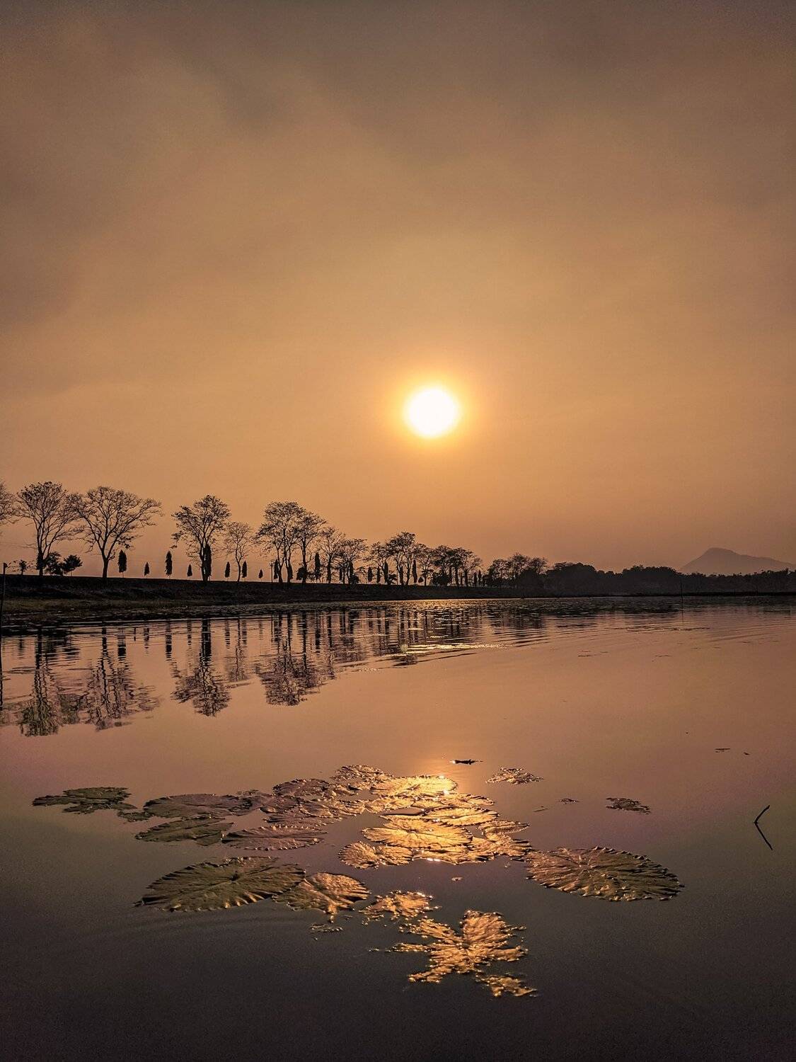 Winter sunset