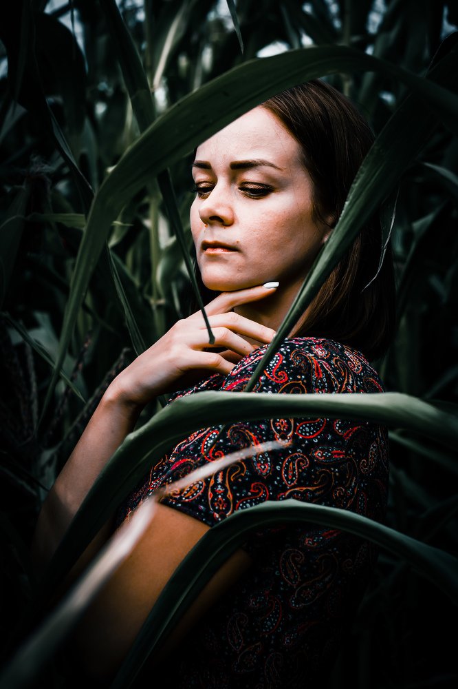 Photograph by Александр Казак