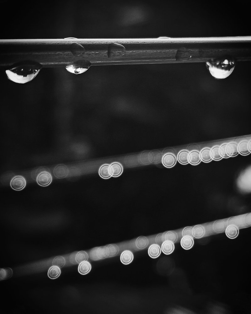 Капли дождя