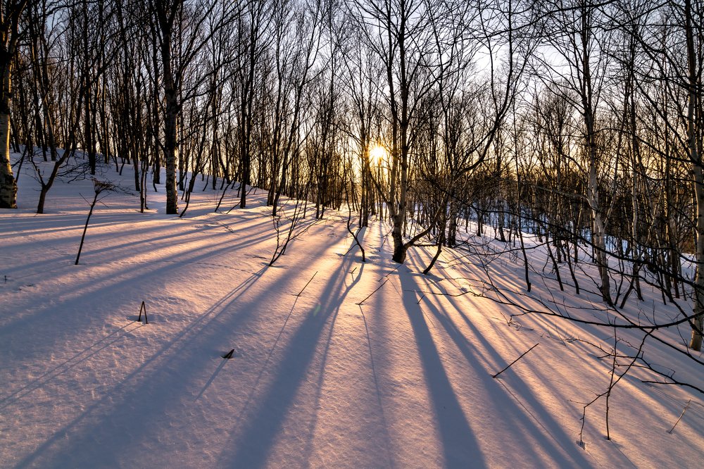 Photograph by Наталья Королева