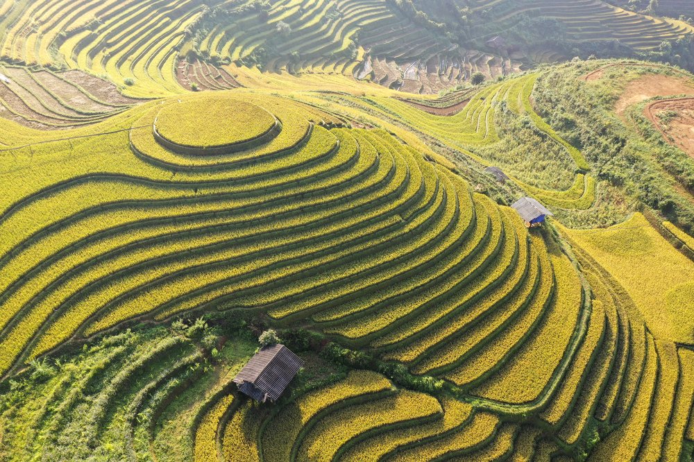 Photograph by Nguyen Phuc Hau