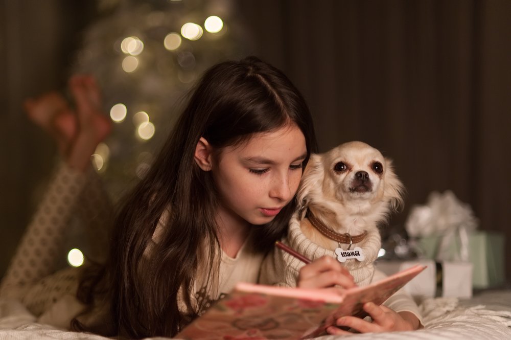 Photograph by Наталья Зорина