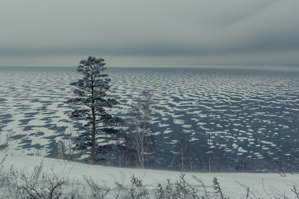 Photograph by Артем Карлов