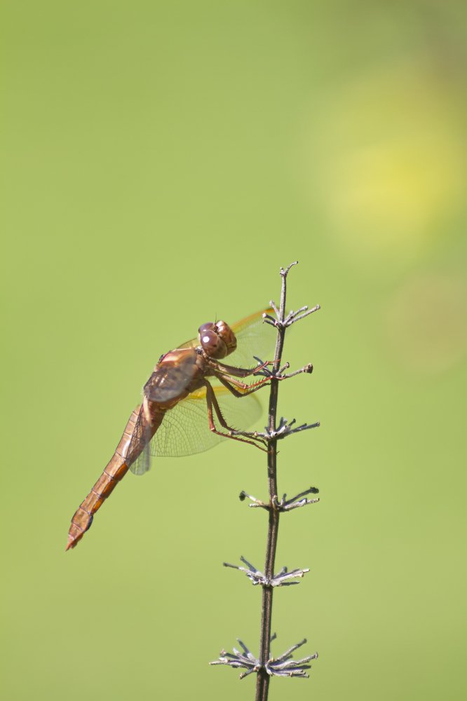 Photograph by Ricardo Sanchez Ruiz