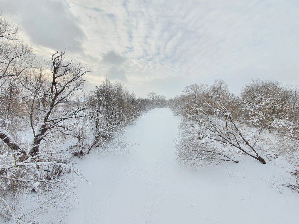 Photograph by mikhail goryachev