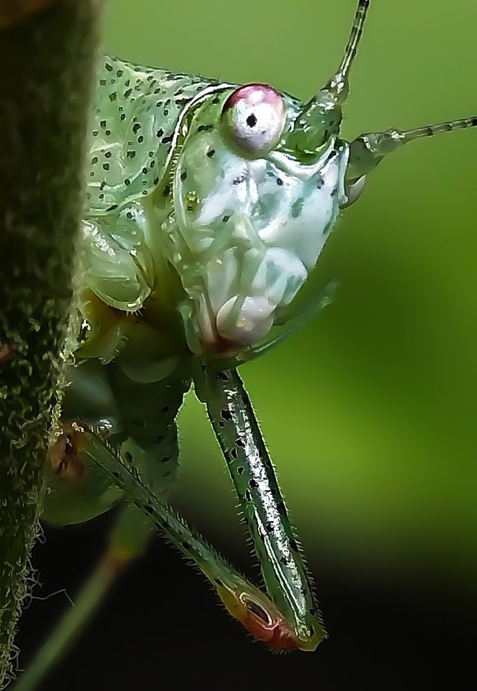 Photograph by Tirtho Roy