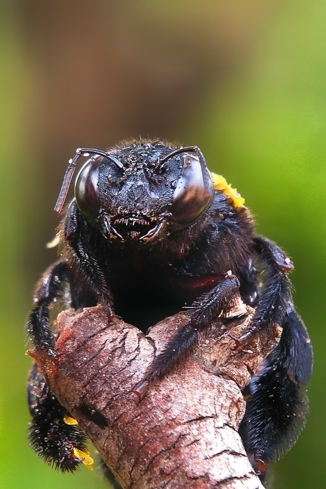 Photograph by Tirtho Roy