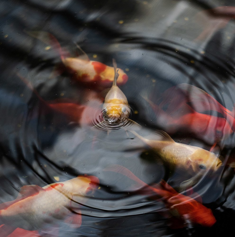 Что-то хочет сказать.