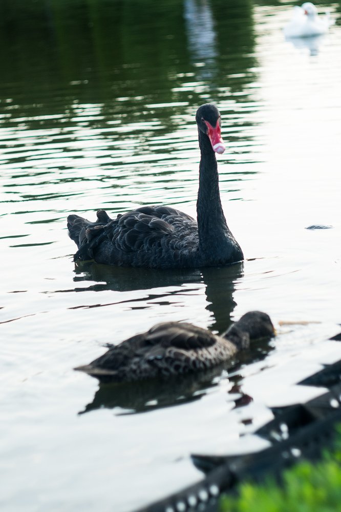Photograph by Александр Шевченко