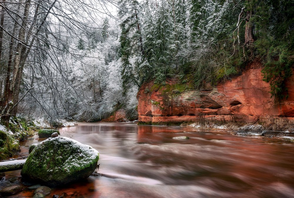 Photograph by Dace Spalviņa