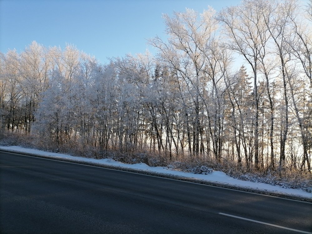 Photograph by Надежда Богачкина