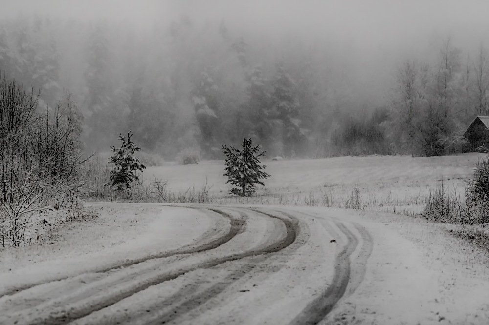 Photograph by Galina