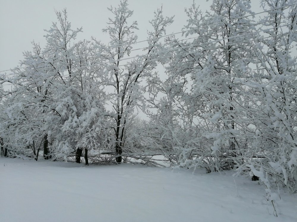 Photograph by Анна Володина