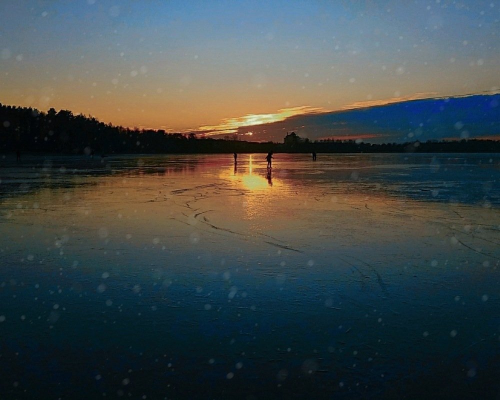 Photo #5511247
