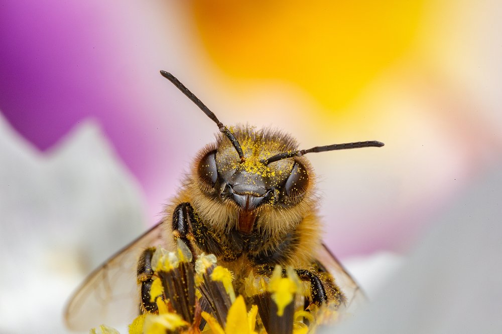 Photograph by Иван Радьков