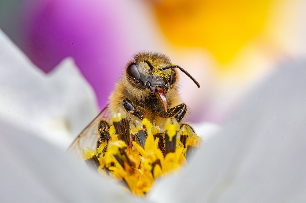 Photograph by Иван Радьков