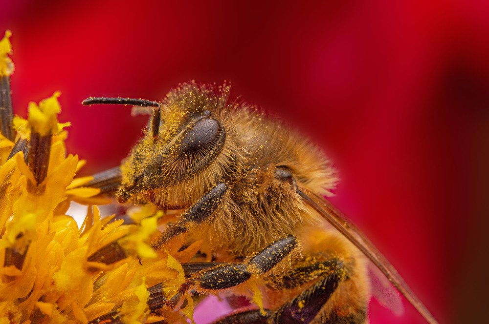Фотография автора Иван Радьков
