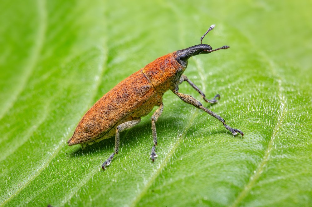 Photograph by Иван Радьков