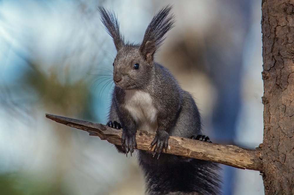 Photograph by Иван Радьков