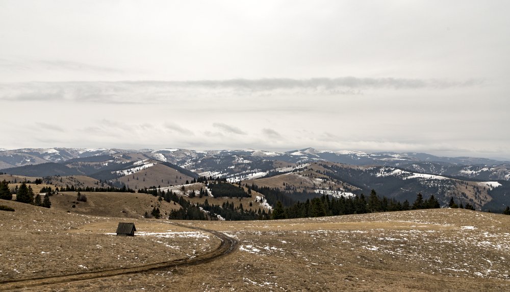 Photograph by TURCZA HUNOR