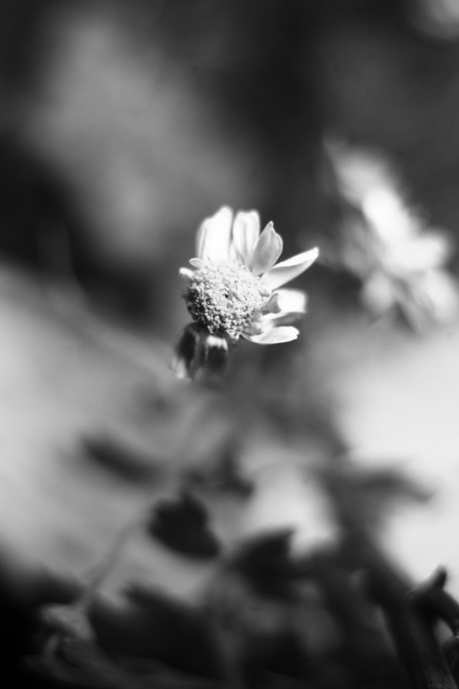 Photograph by Milla Luca