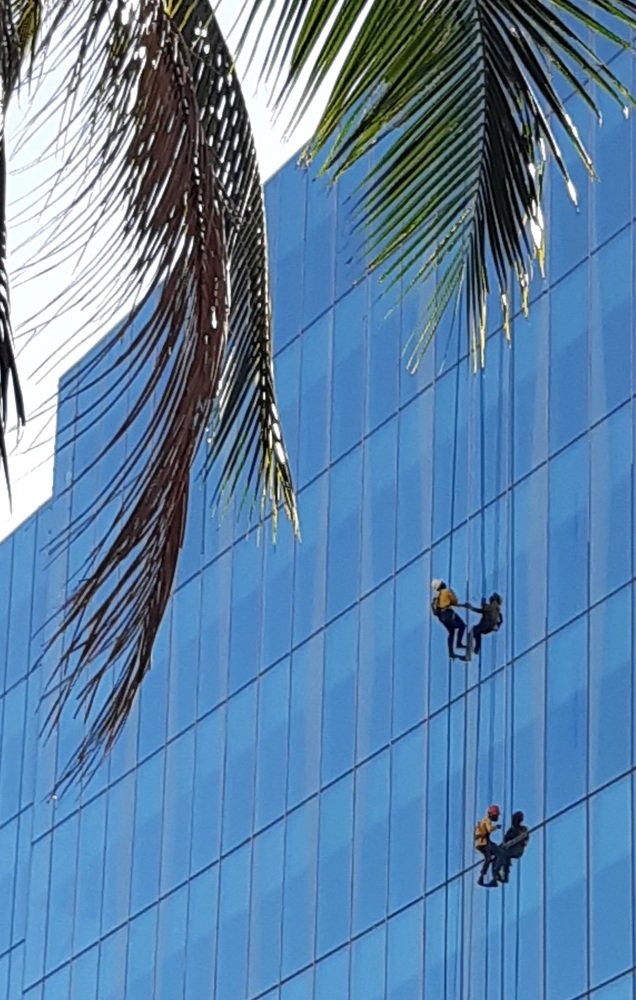 Photo #5511389