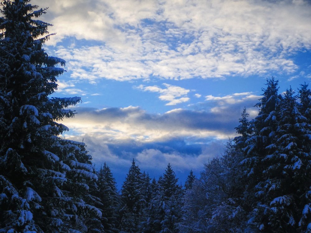 Photograph by Ondrej Pôbiš