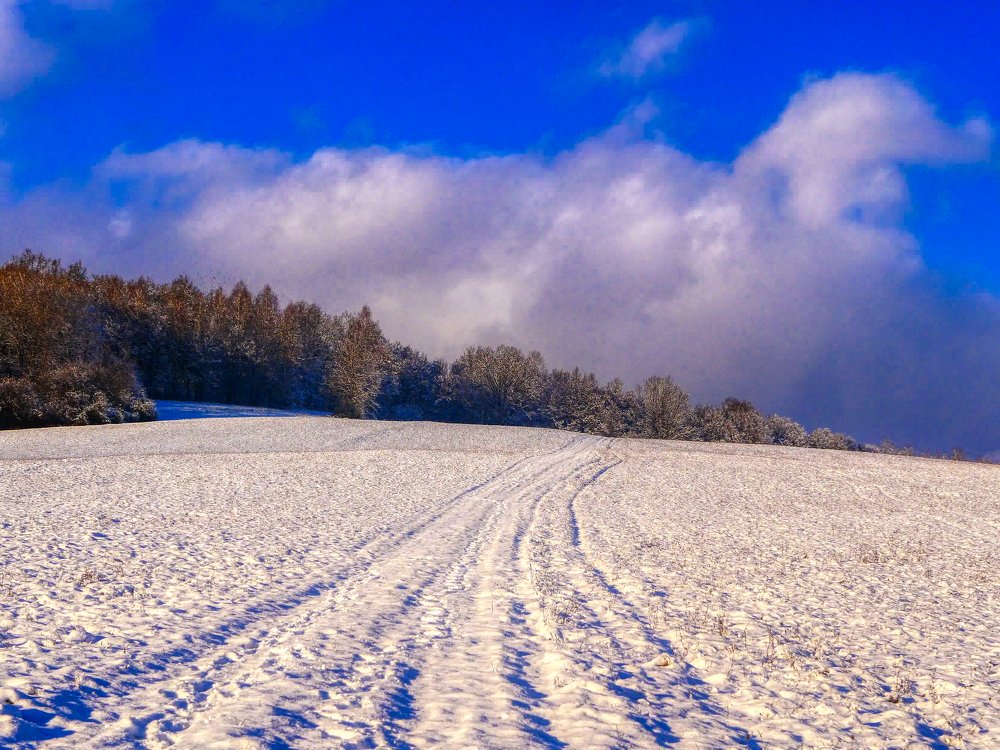 Photograph by Ondrej Pôbiš