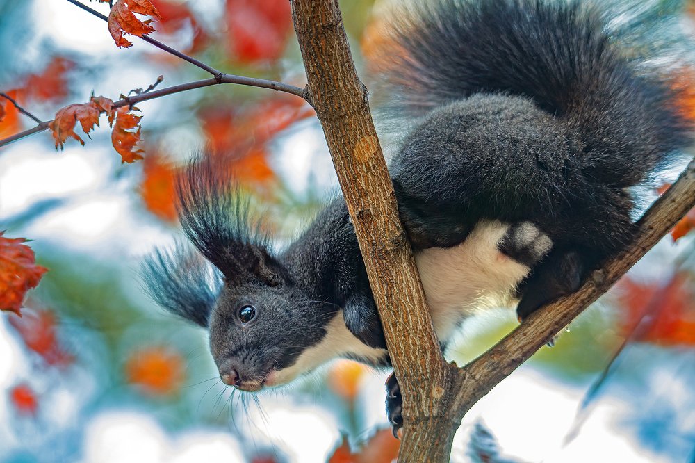 Photograph by Иван Радьков