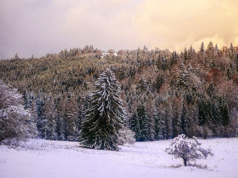 Photograph by Ondrej Pôbiš