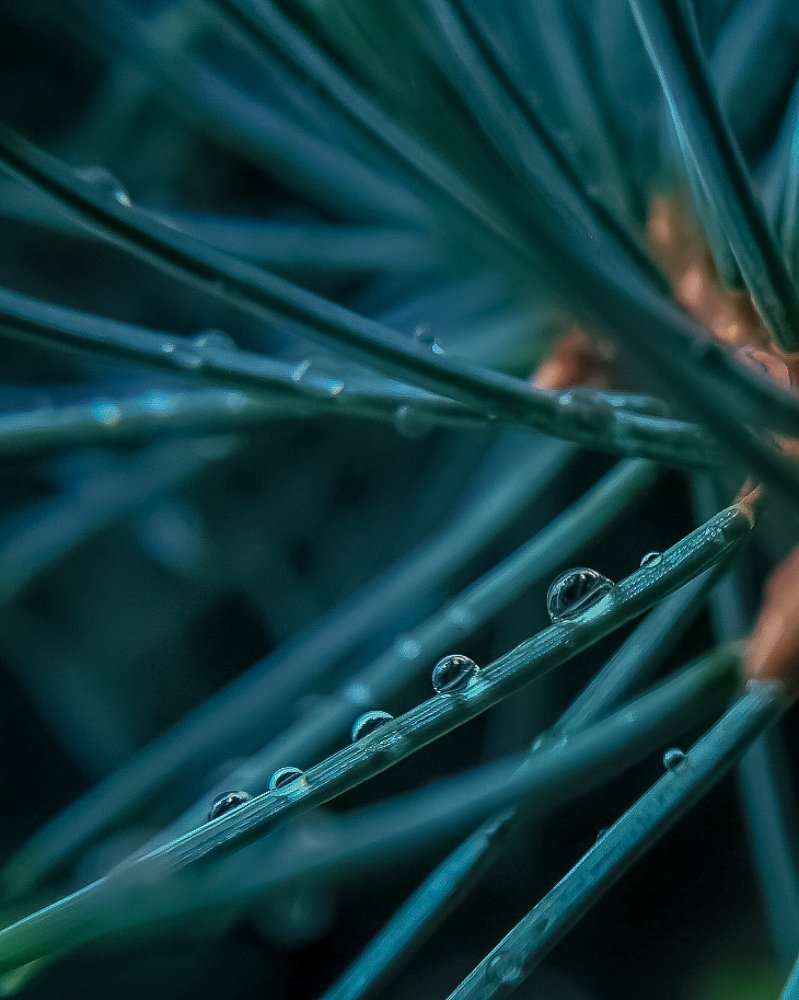 Photograph by Елена Новикова