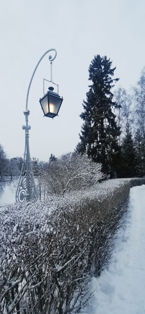 Photograph by Лукина Наталья
