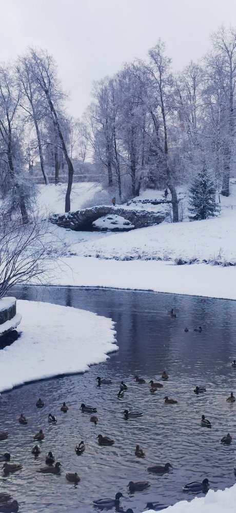 Photograph by Лукина Наталья