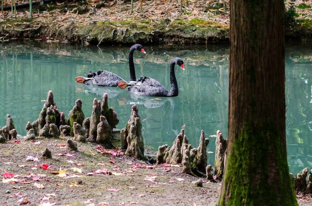 Photograph by Марина Анчукова